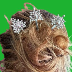 Fancy Hair Sticks/Hair Accessories